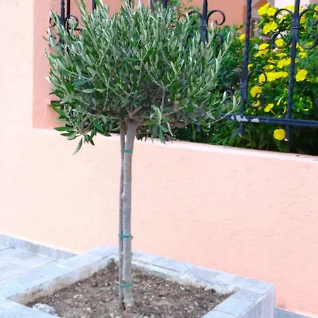 Socrates Daire Olympiakí Aktí