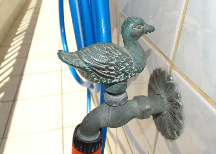 Socrates Lejlighed *